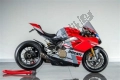 Alle originele en vervangende onderdelen voor uw Ducati Superbike Panigale V4 S Brasil 1100 2019.